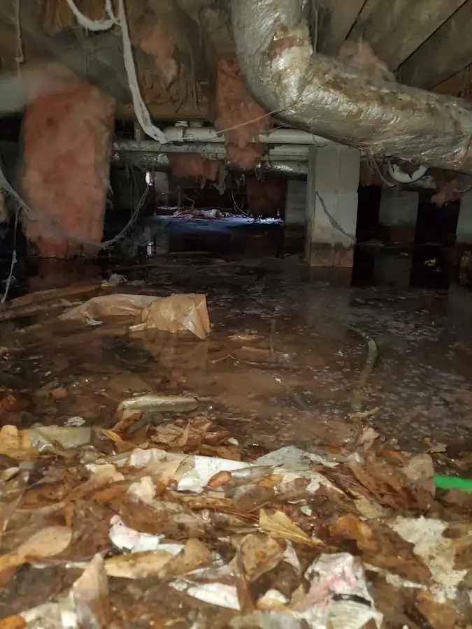 Crawl space flood assessment for Leak Detection & Repair in Costa Mesa